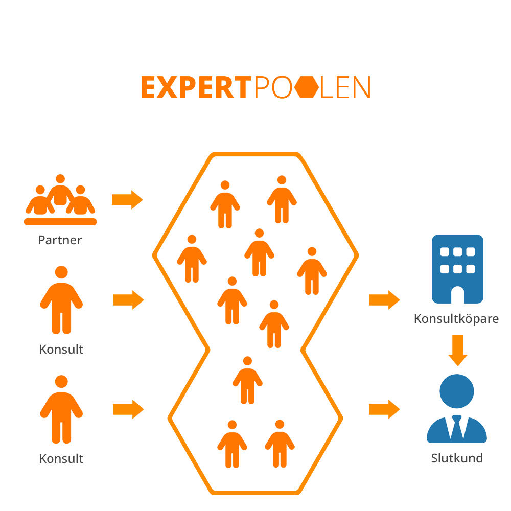 Image describing the chain of consultants